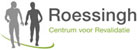 Het Roessingh